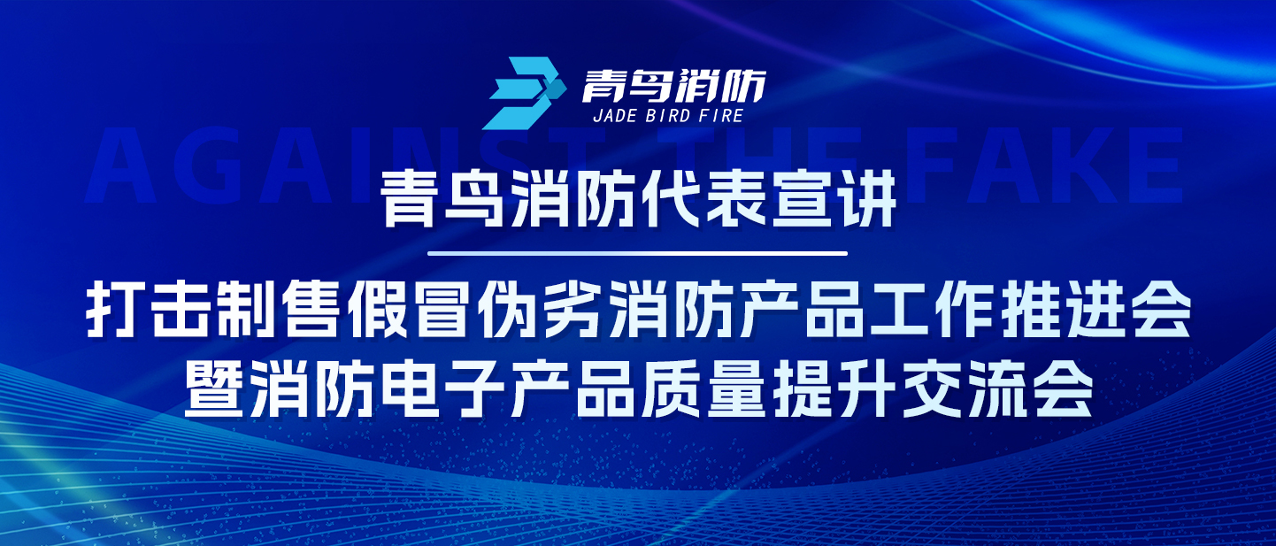 利来囯际代表宣讲&mdash;&mdash;攻击制售冒充伪劣消防产品事情推进会暨消防电子产品质量提升交流会
