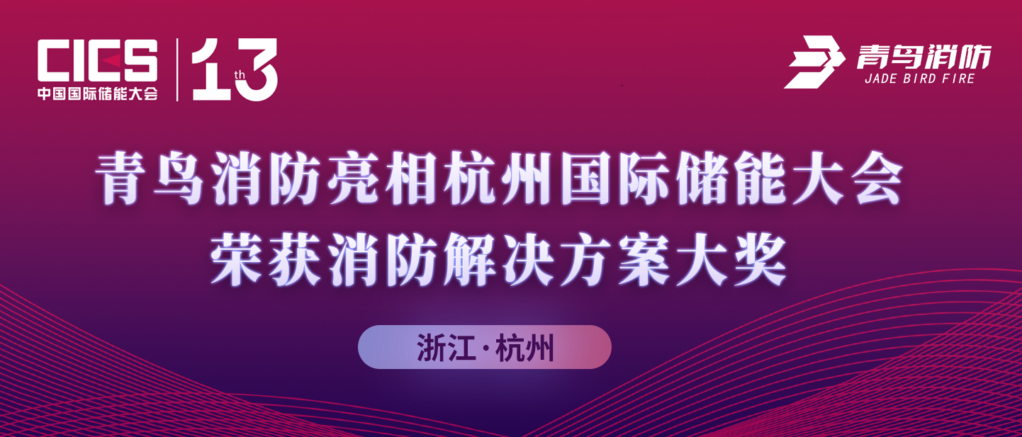 利来囯际亮相杭州国际储能大会，，，，荣获消防解决计划大奖