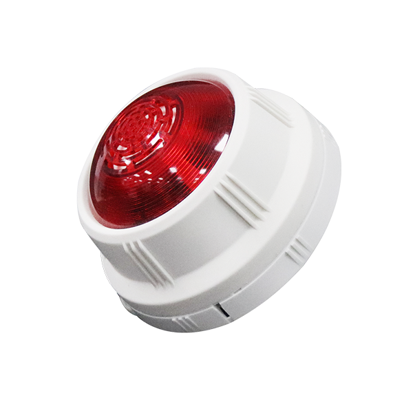 利来国际app(中国)最给力的老牌下载