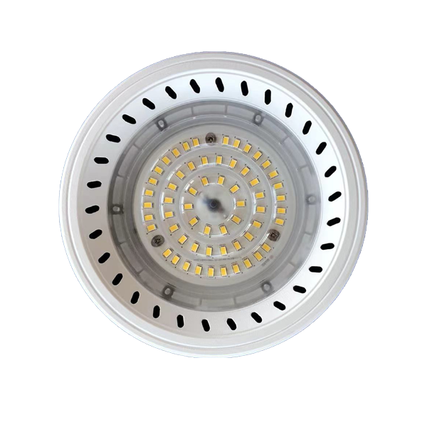 利来国际app(中国)最给力的老牌下载