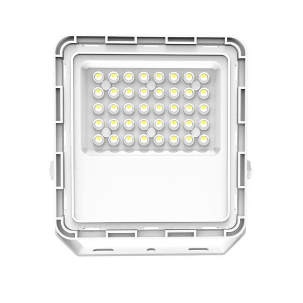 利来国际app(中国)最给力的老牌下载